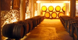 Arnaud de Villeneuve Rivesaltes, Arnaud de Villeneuve vin, Les Vignobles du Rivesaltais, Domaine de Villeneuve, cave Arnaud de Villeneuve, cave Arnaud de Villeneuve Rivesaltes, cave coop�rative Rivesaltes, vin Arnaud de Villeneuve