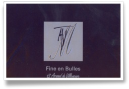 Vin Doux Naturel - ARNAUD DE VILLENEUVE - Muscat Effervescent - FINE EN BULLES